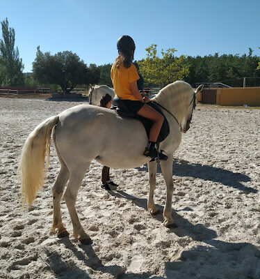 Yeguada Hermanos Civera Sanchez