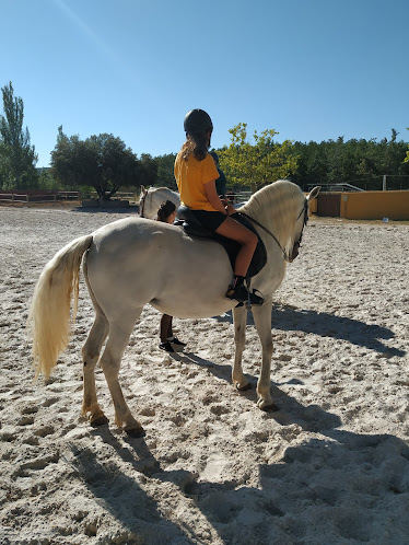 Yeguada Hermanos Civera Sanchez