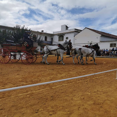 Centro Militar de Cria Caballar de ecija