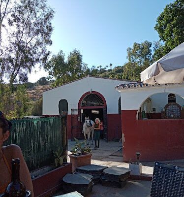 Finca La Peseta MAS El Kiosco