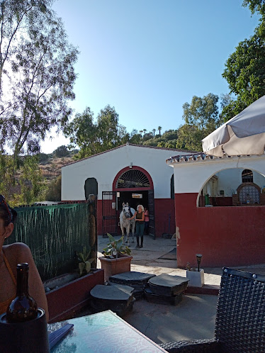 Finca La Peseta MAS El Kiosco