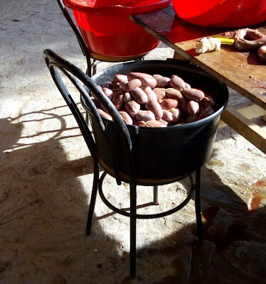 Club Ecuestre La HERRADURA