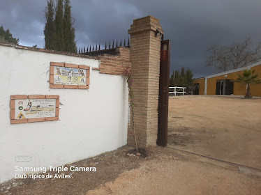 Equitacion Ezequiel Leon y club hipico de Aviles RBA de Lolema