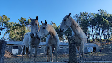 CENTRO TECNICO LA SOLDADA