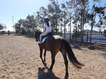 Equestrian Center South