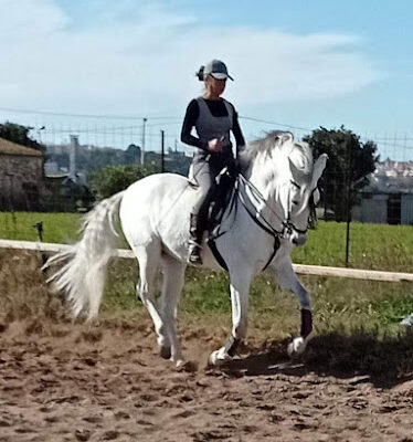 Club Equestre Boquera
