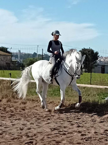 Club Equestre Boquera