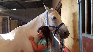 Centro Ecuestre Galiocio