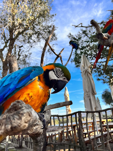 Rancho Grande Mallorca