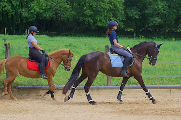 Centre Hipic Fuste Hipica en Girona