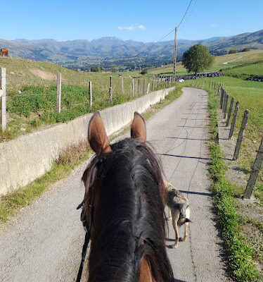 Centro Ecuestre La Espina