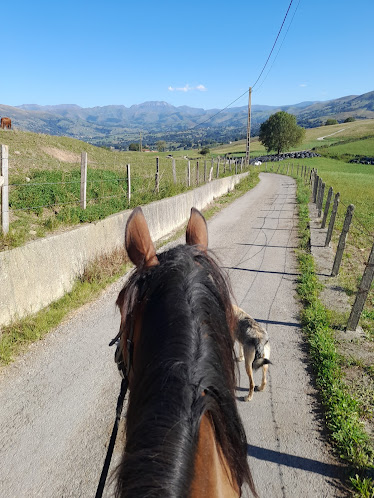 Centro Ecuestre La Espina