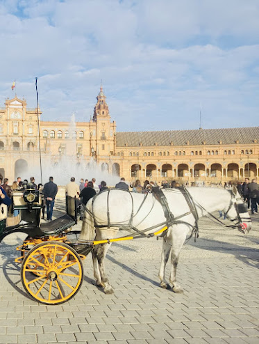 Sevilla de Paseo – Empresa de Paseo y Alquiler de Coches de Caballos en Sevilla