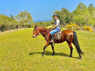 Panorama – Trails Horse Adventure