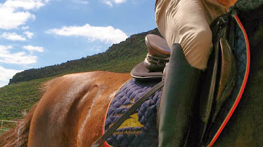 Equestrian Center Roque Aguayro