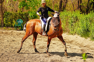Centro Hipico La Mariposa