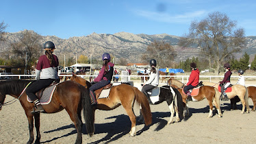 Hipica El Soto escuela de equitacion en Soto del Real