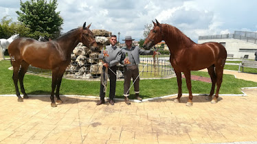 Centro Ecuestre El Salobre