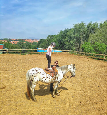 Appaloosa Equestrian Center