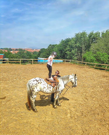 Appaloosa Equestrian Center