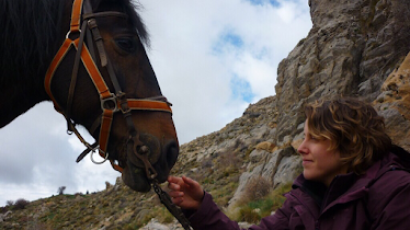 Caballos La Querencia