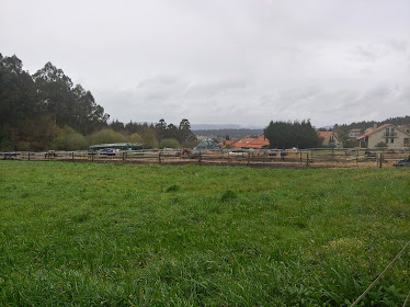 Haras de Compostela