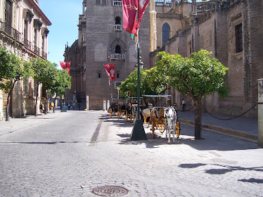 Coche de caballos Sevilla Eventos Deluxe