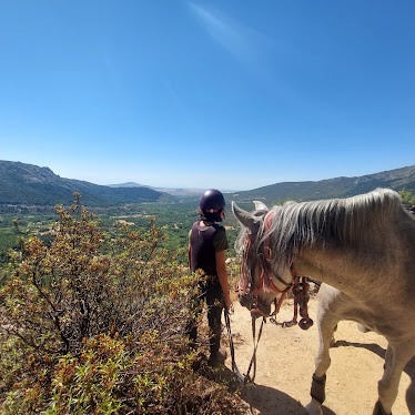Equinarea Educa Rutas a Caballo Terapias Campamentos y Gestalt con caballos