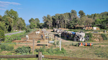 Centre Equestre Penedes Terrassola i Lavit