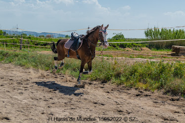 Hipica Haras de Mundiel
