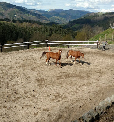 Alarpe Zalditegia Zaldibia Gipuzkoa