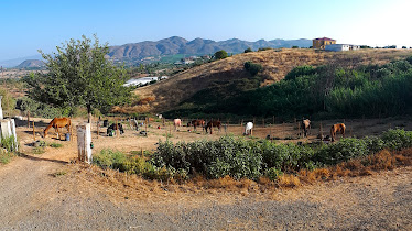 Escuela de Equitacion Adolfo Espinosa