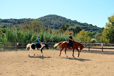 Asociacion ecuestre de Blanes