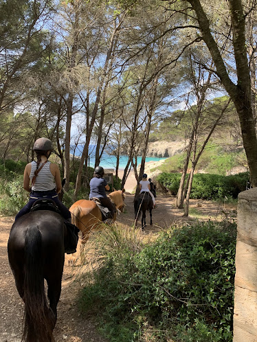 Menorca a Cavall obert tot l any Recorregut per camins privats i camins de cavalls
