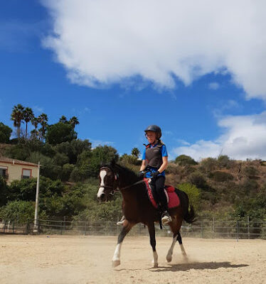 Happy Horse Riding Academy Stables