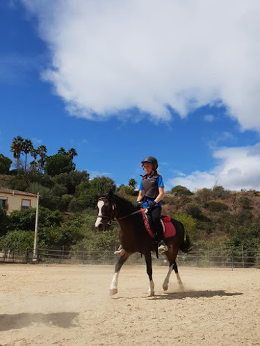 Happy Horse Riding Academy Stables