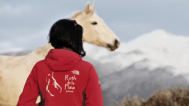 campamentos equinoterapia coaching con caballos doma natural discapacidad gestion emocional equipos