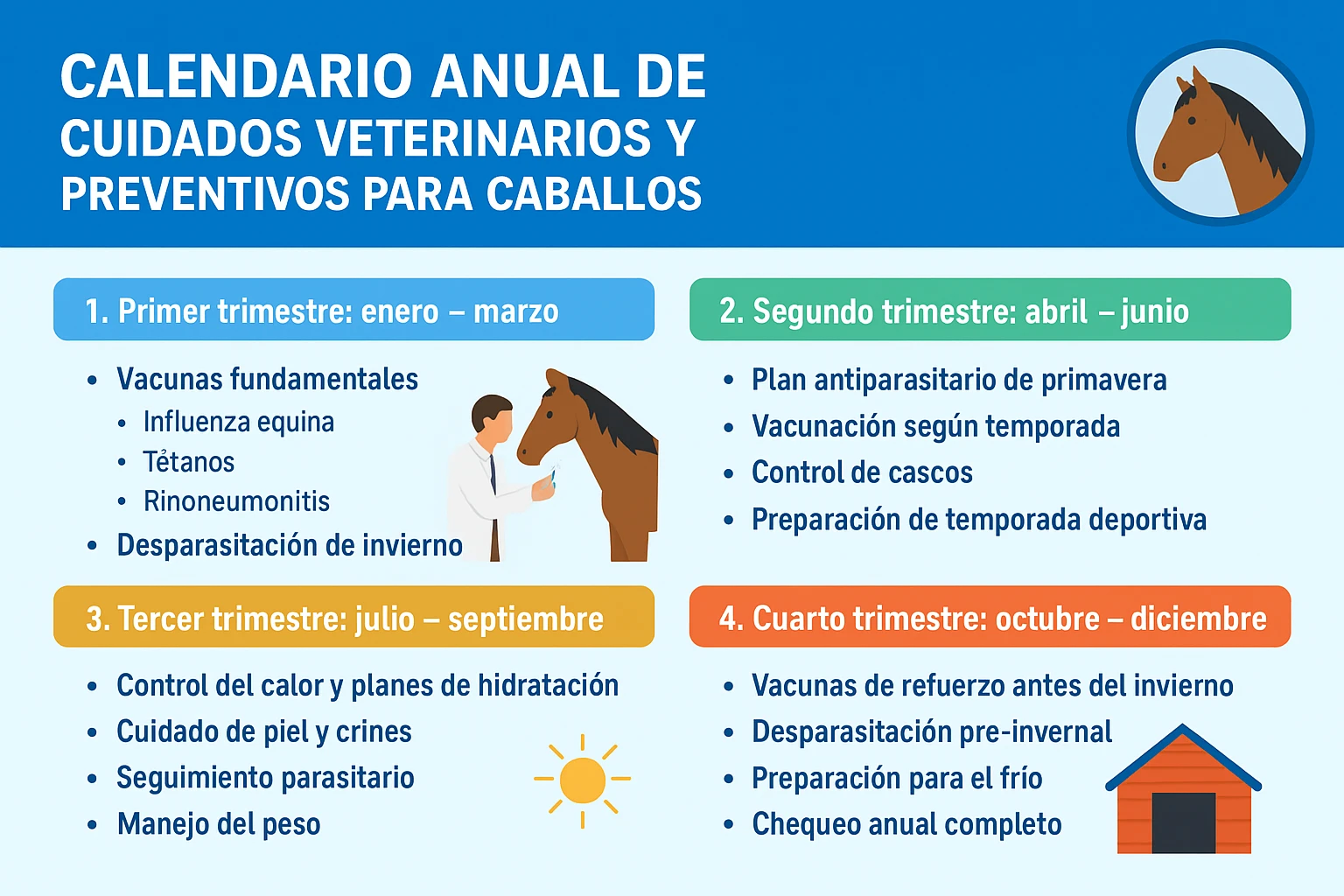 Calendario anual de cuidados veterinarios y preventivos para caballos