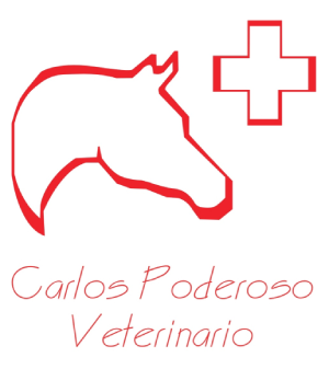 Carlos Poderoso Martínez