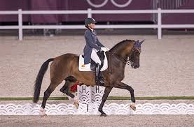 Los fundamentos de la doma clásica: contacto, impulsión y rectitud