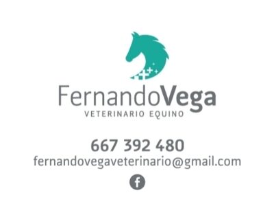 Fernando Vega Castillo