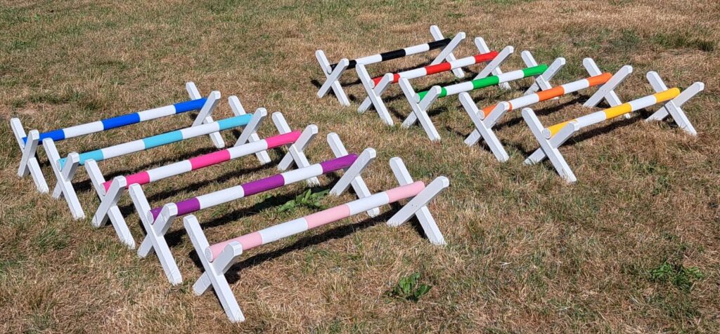 Ejercicios con cavalettis para mejorar la amplitud, el ritmo y la coordinación del caballo