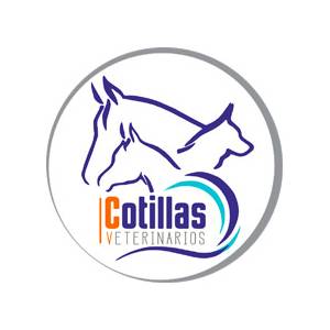 Ángel Cotillas García – Cotillas Veterinarios