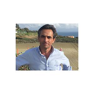 Miguel A. Valdés Vázquez