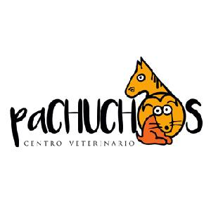Fco. Javier Funes Caño – Pachuchos Centro Veterinario