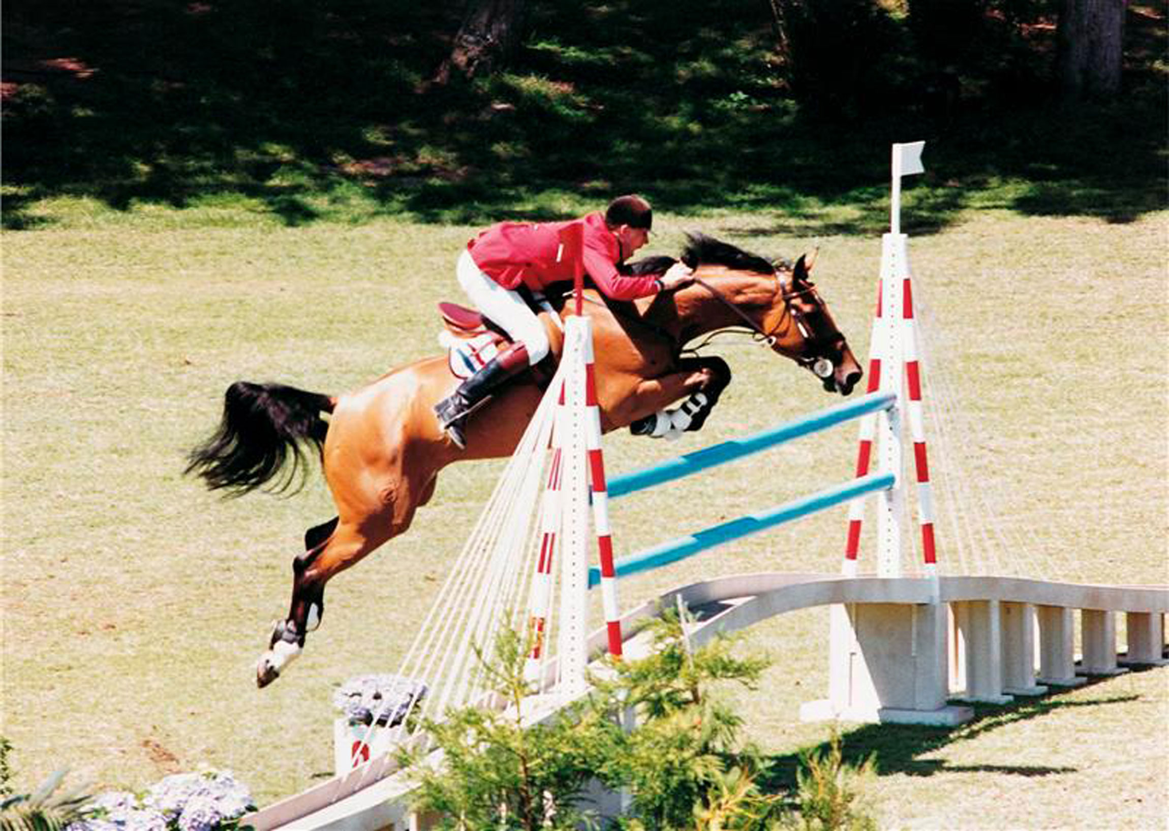 Caballos legendarios que cambiaron la historia del salto de obstáculos