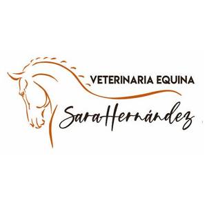 Sara Hernández Torres