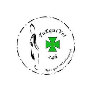 Débora Jorge Casado – TuEquivet