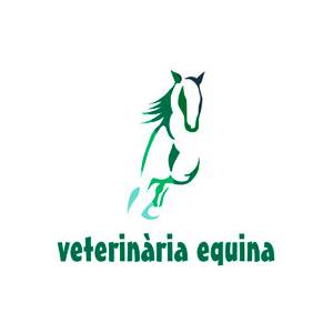 Helena Romero Abad – Veterinaria Equina