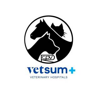 Ignacio Aguilar Sebastián – Hospital Veterinario San Vicente